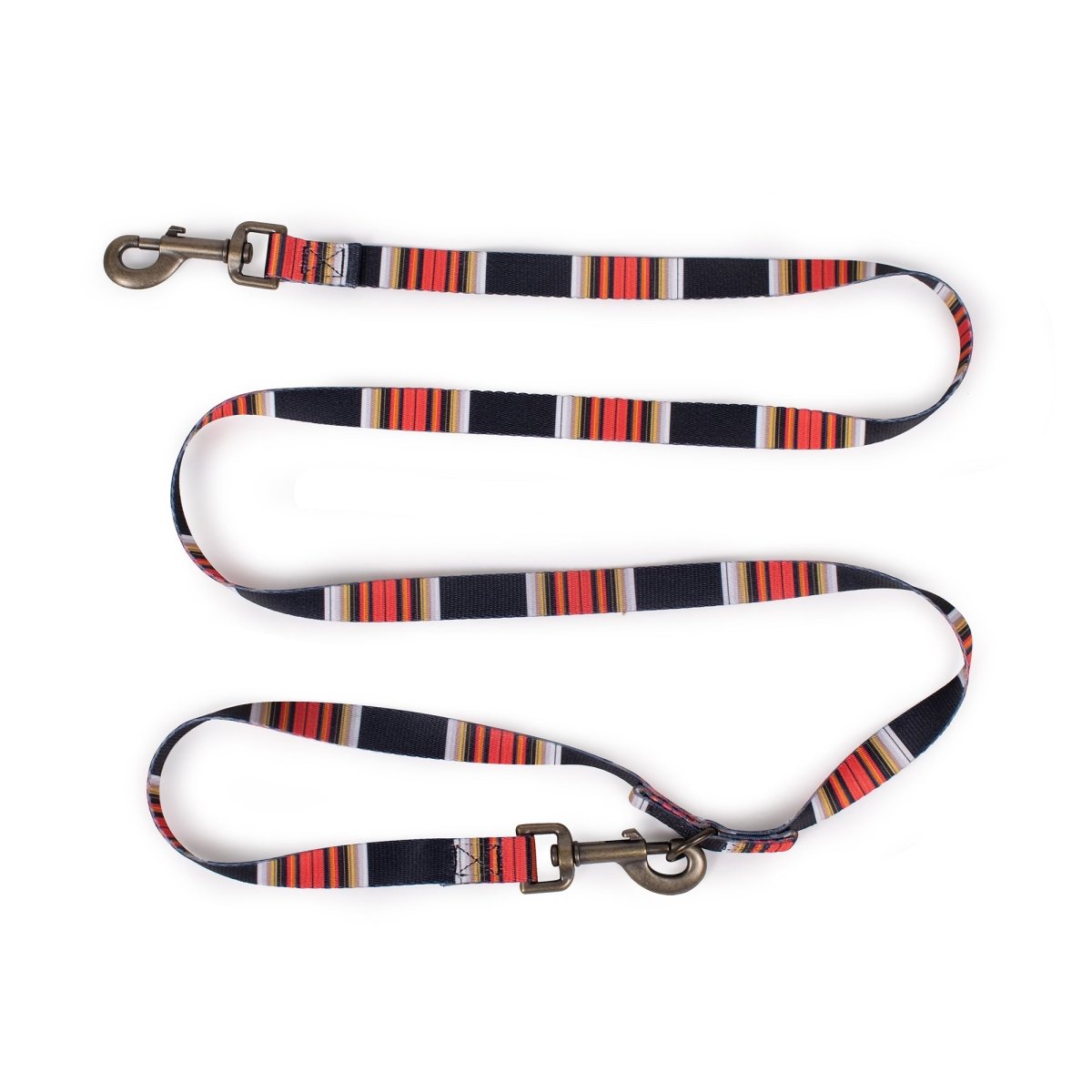 Pendleton National Park Adventure Leash in Acadia dog leash