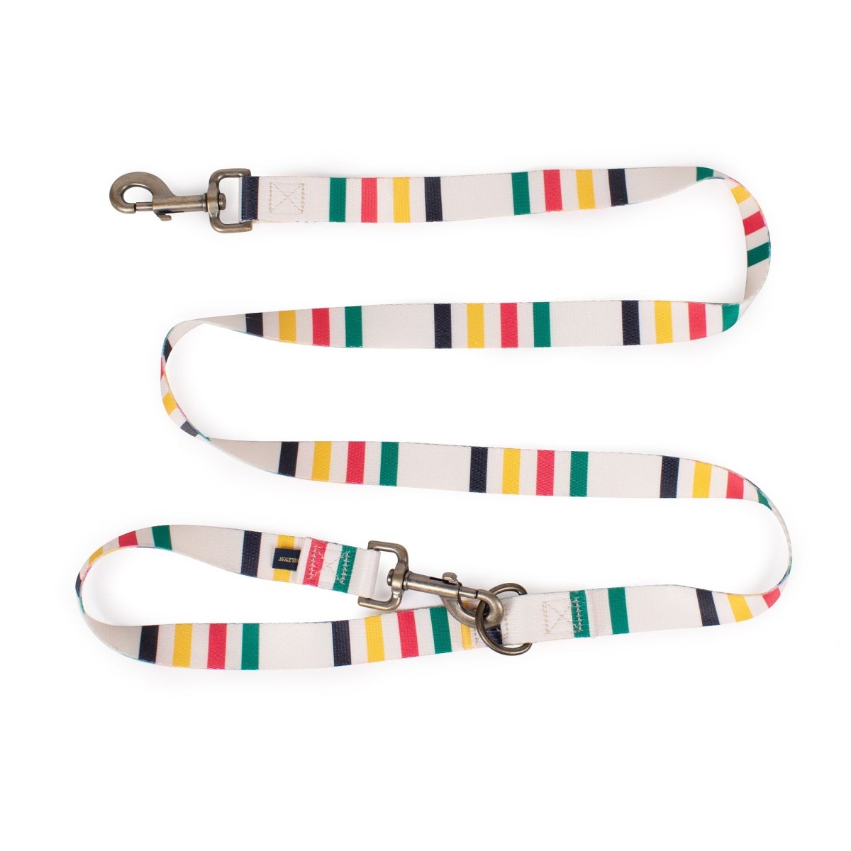 Pendleton National Park Adventure Leash in Glacier dog leash