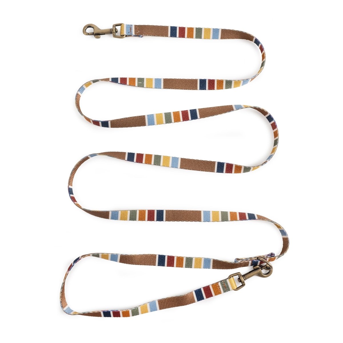 Pendleton National Park Adventure Leash in Joshua Tree dog leash