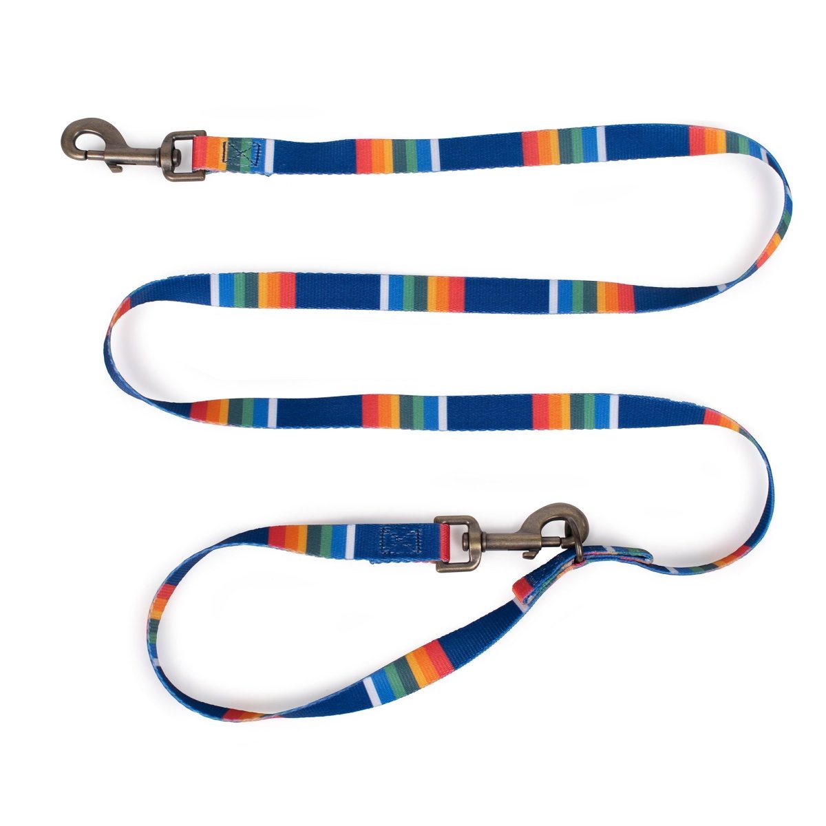 Pendleton National Park Adventure Leash in Crater Lake dog leash