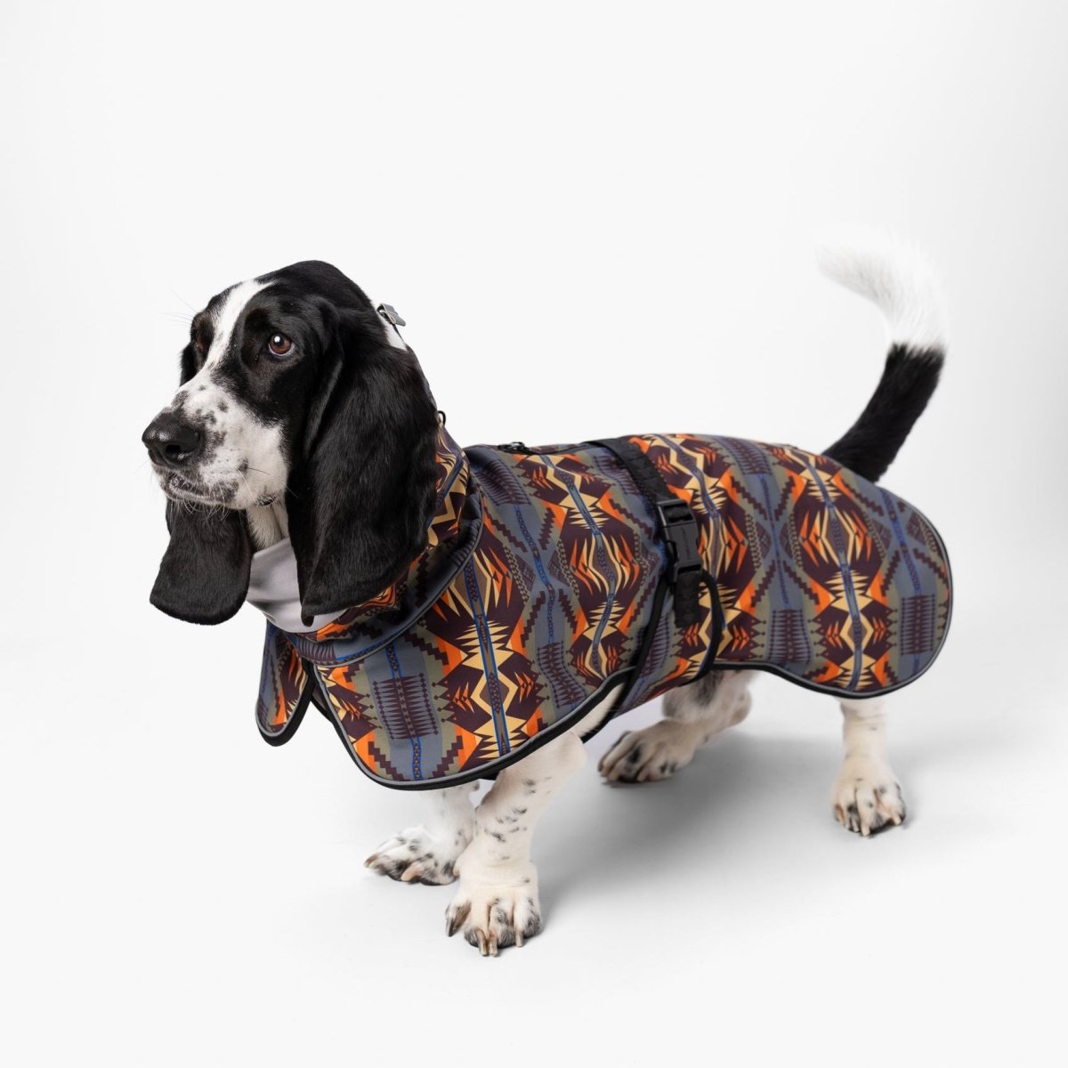 Pendleton Waterproof Adventure Pet Coat in Mystic Lake dog coat