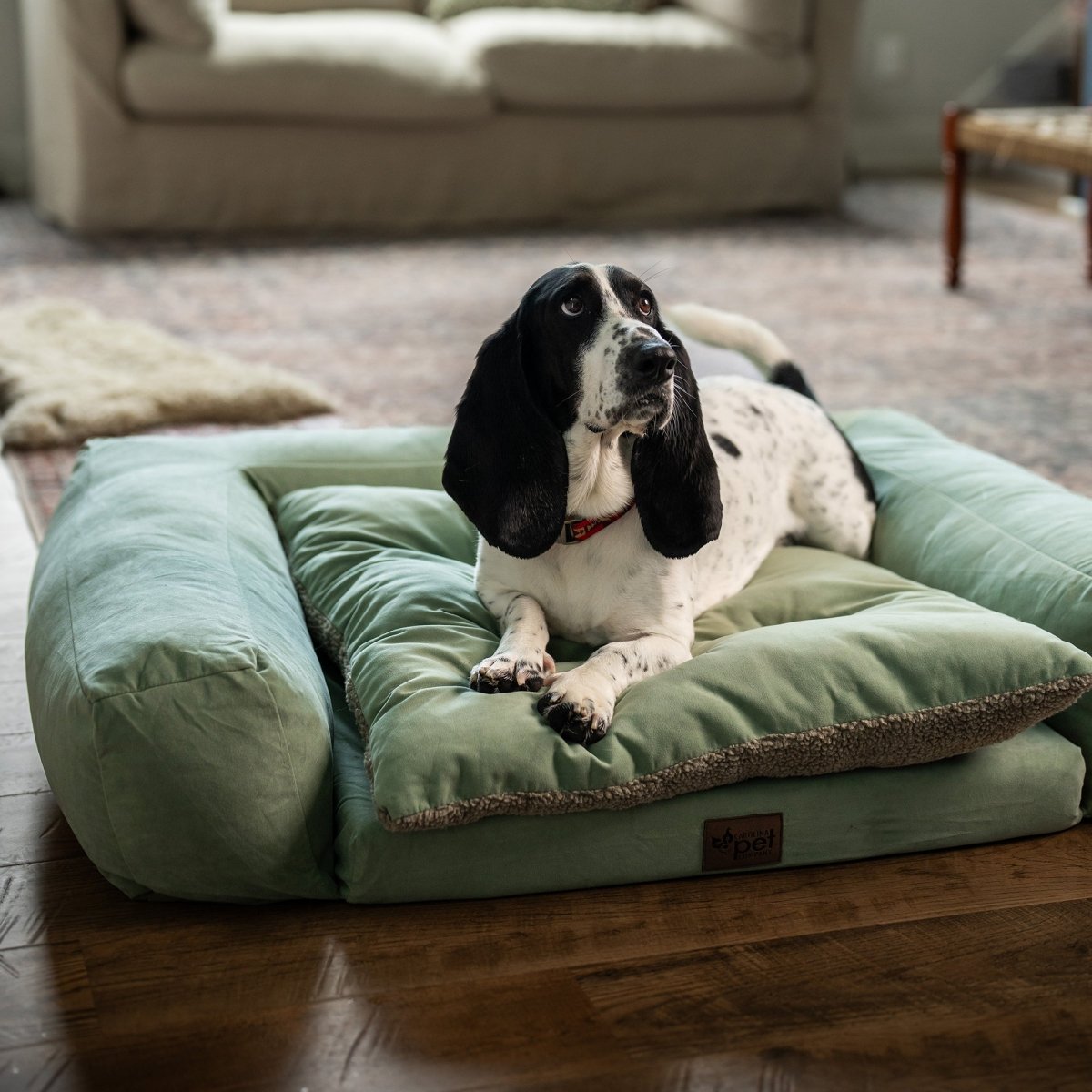 Rectangle Pet Couch | Green, with dog in a living room