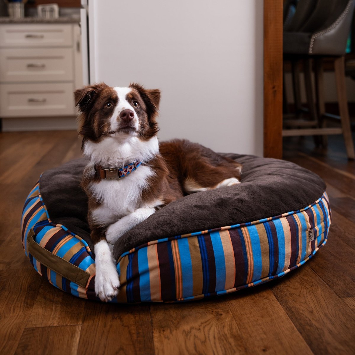 Round Bed | Brand Stripe, with a dog in a kitchen