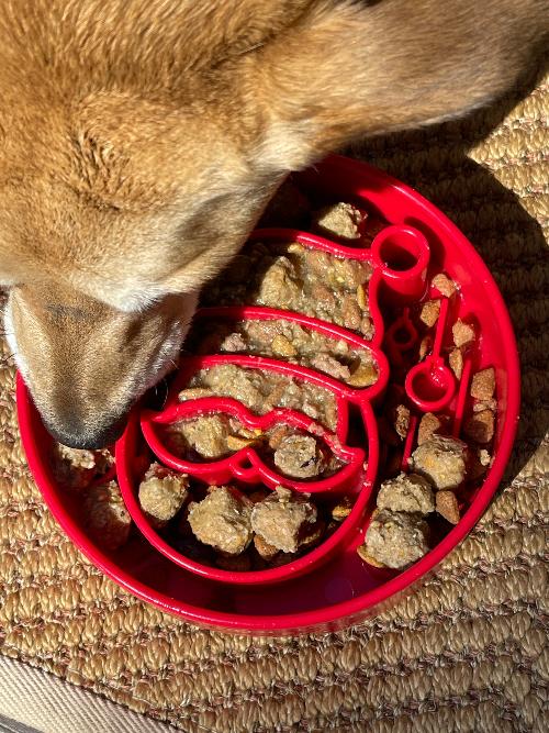 Slow Feeder Bowl | Christmas Santa