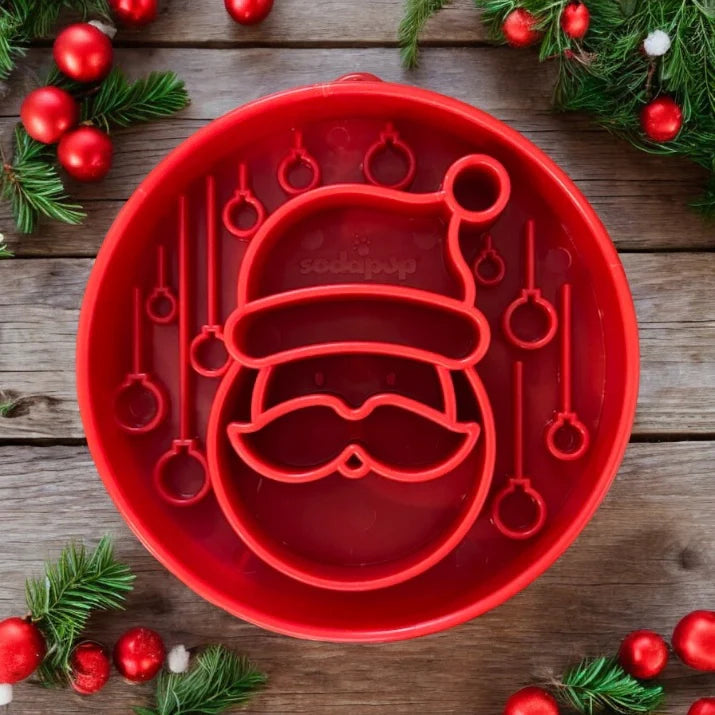 Slow Feeder Bowl | Christmas Santa