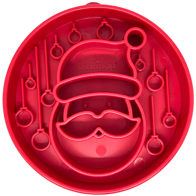 Slow Feeder Bowl | Christmas Santa