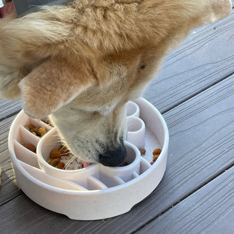 slow-feeder-dog-bowl-java