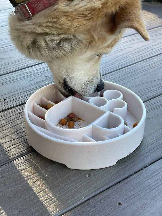 slow-feeder-dog-bowl-java