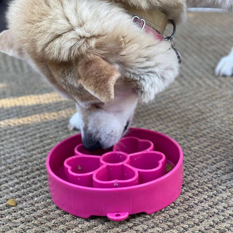 Slow Feeder Bowl | Pink Flower