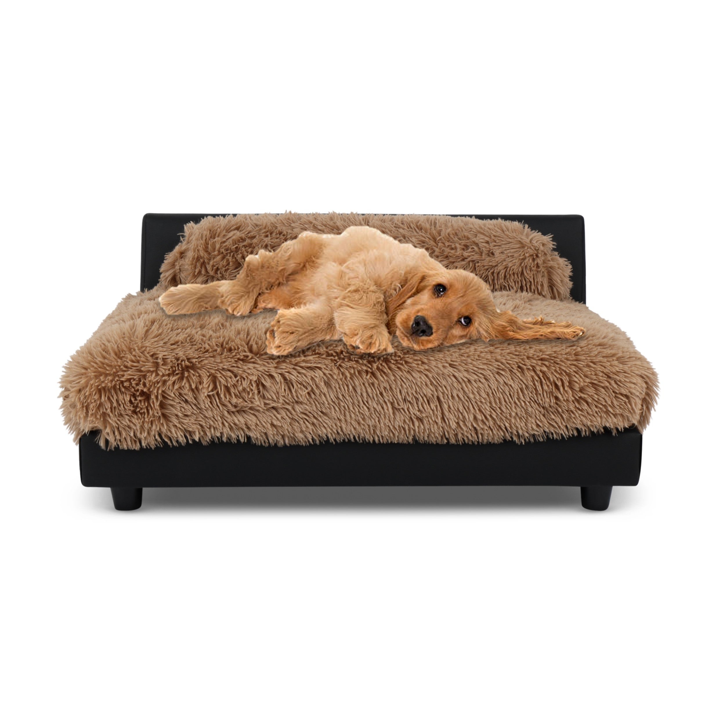 Raised Sofa Bed | ROMA