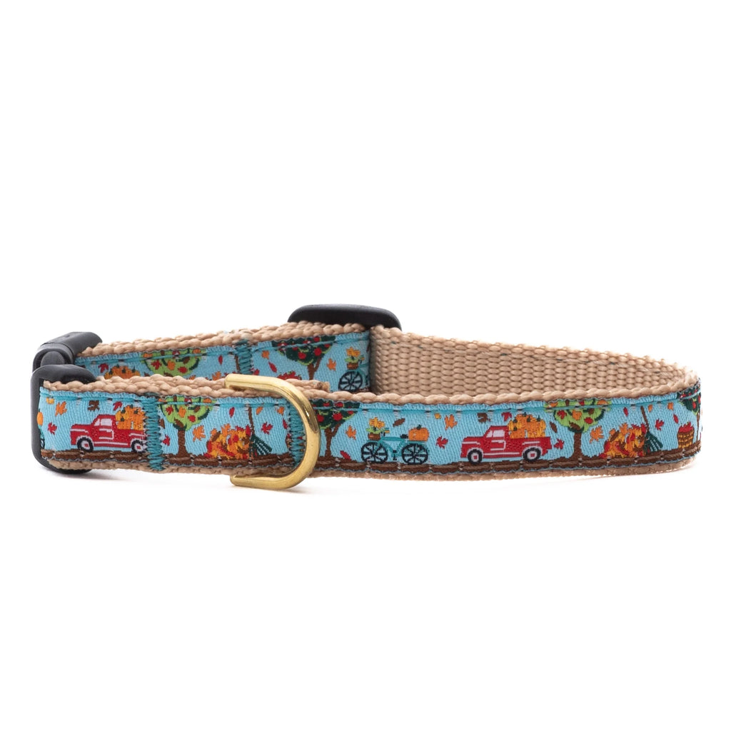 Small Breed Teacup Dog Collar To The Orchard boulderbarks