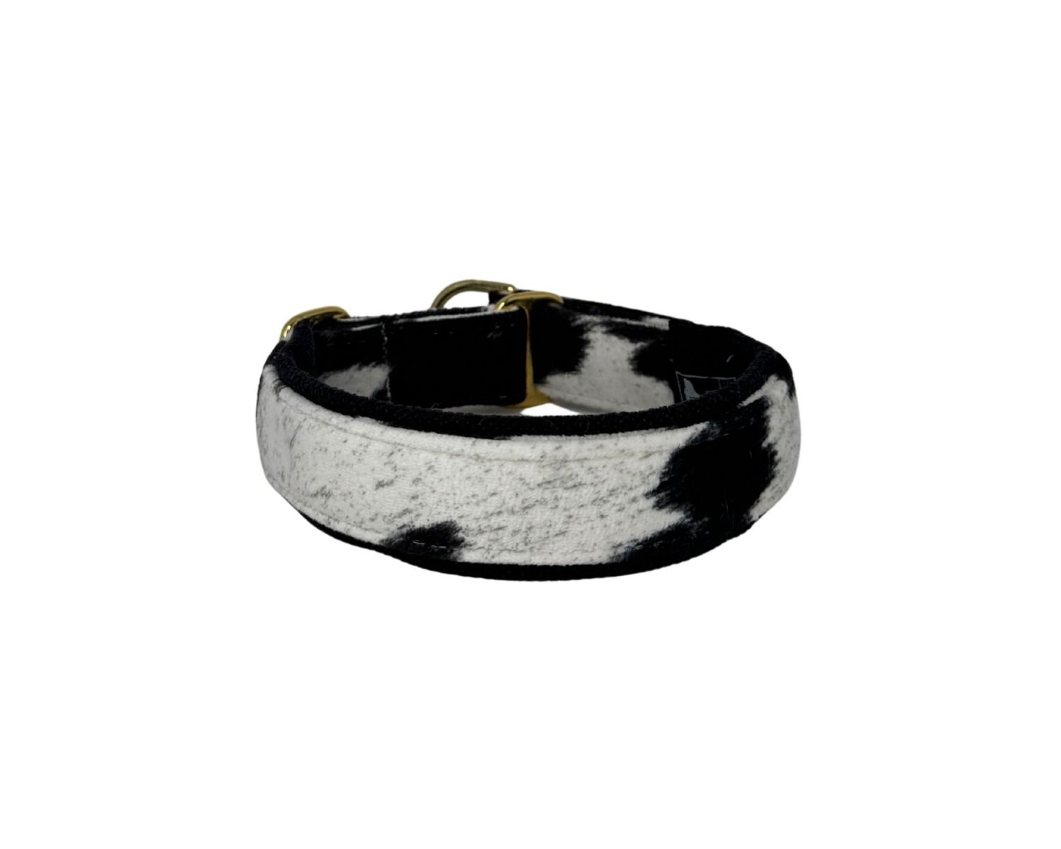 Black and white patterned dog collar on a white background