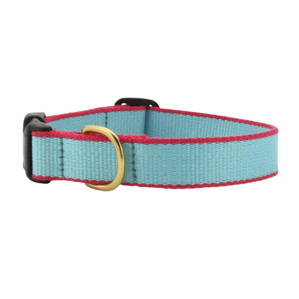 Coral hotsell dog collar