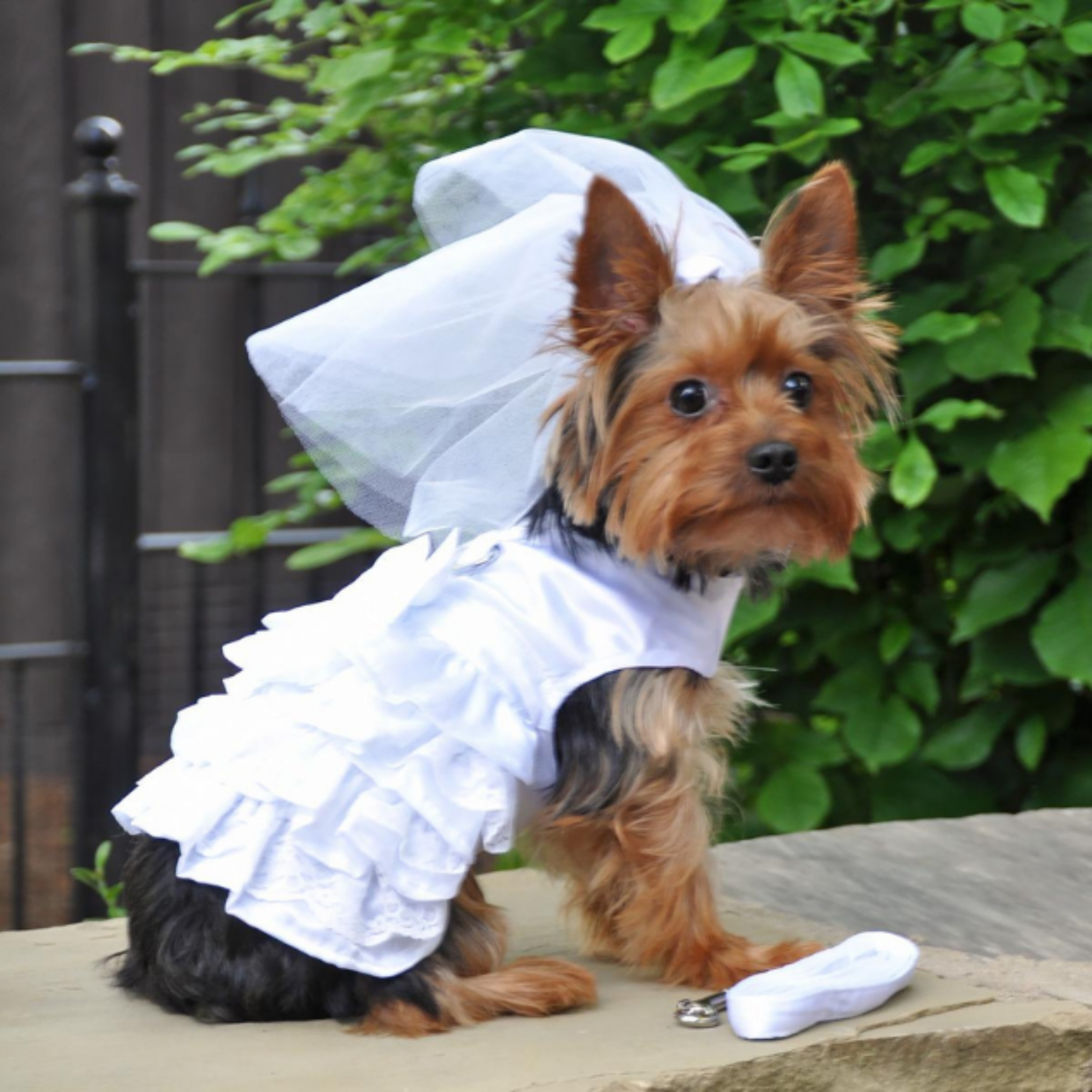 dog holiday dress Nebwoak Small Dog Christmas Dress, Pet Holiday Party Dress with Ruffle Sleeves, Festive Outfit for Teddy Chihuahua Small Breeds, Cute Pet Gift Costume