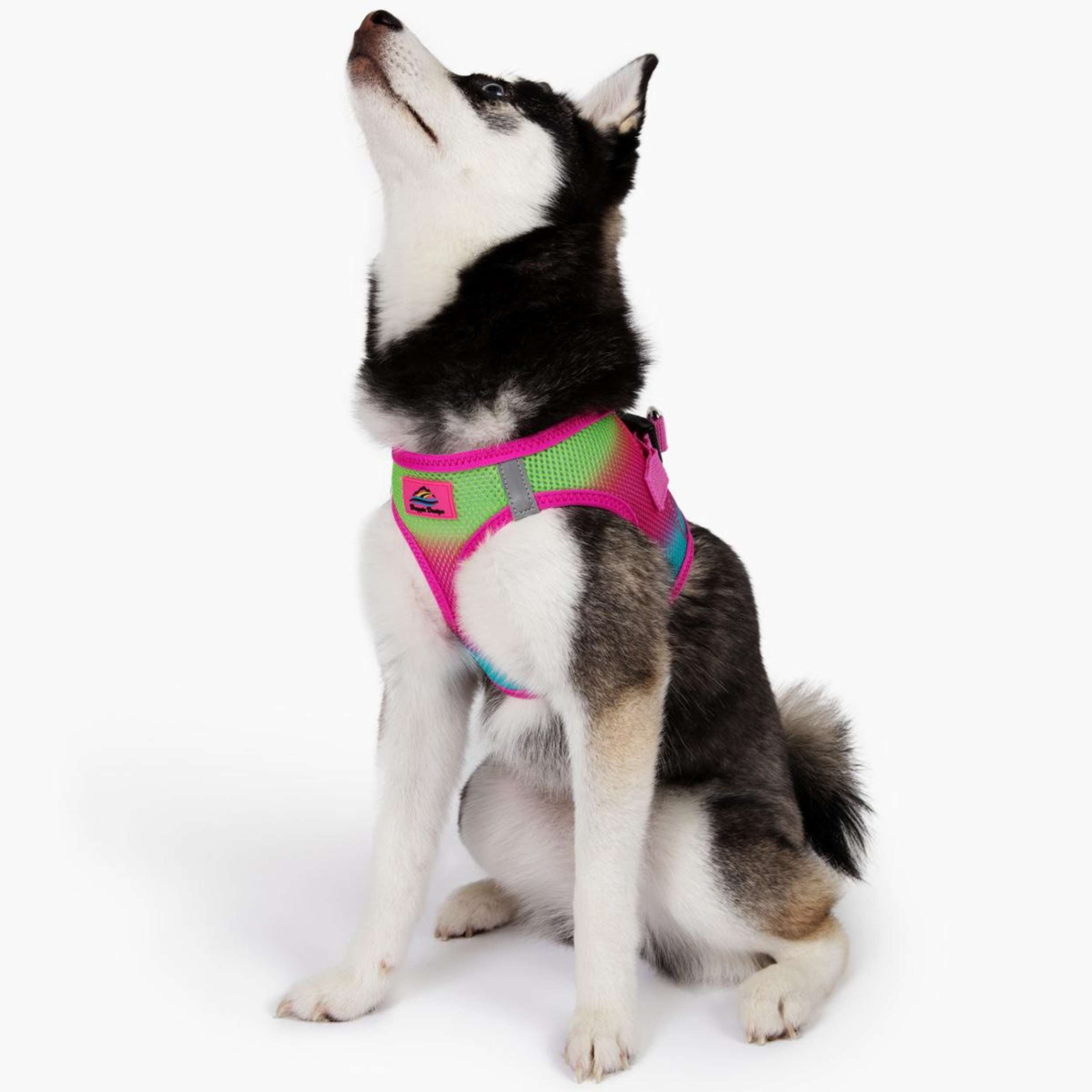 Pink Cotton Candy Ombre Choke Free Dog Harness Size XS 