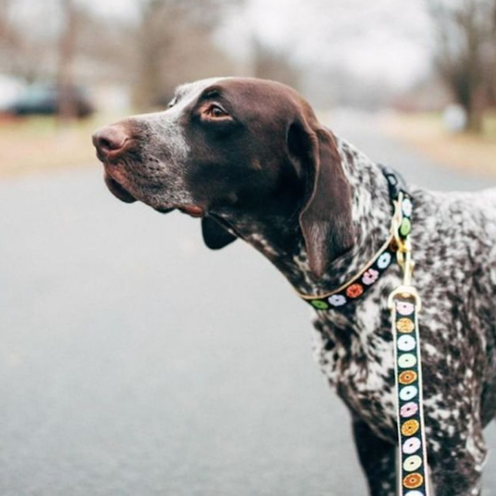 donuts-dog-leash