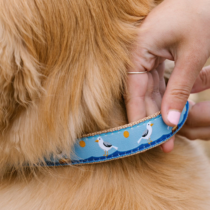 GULL-WATCH-DOG-COLLAR-LEASH-HARNESS