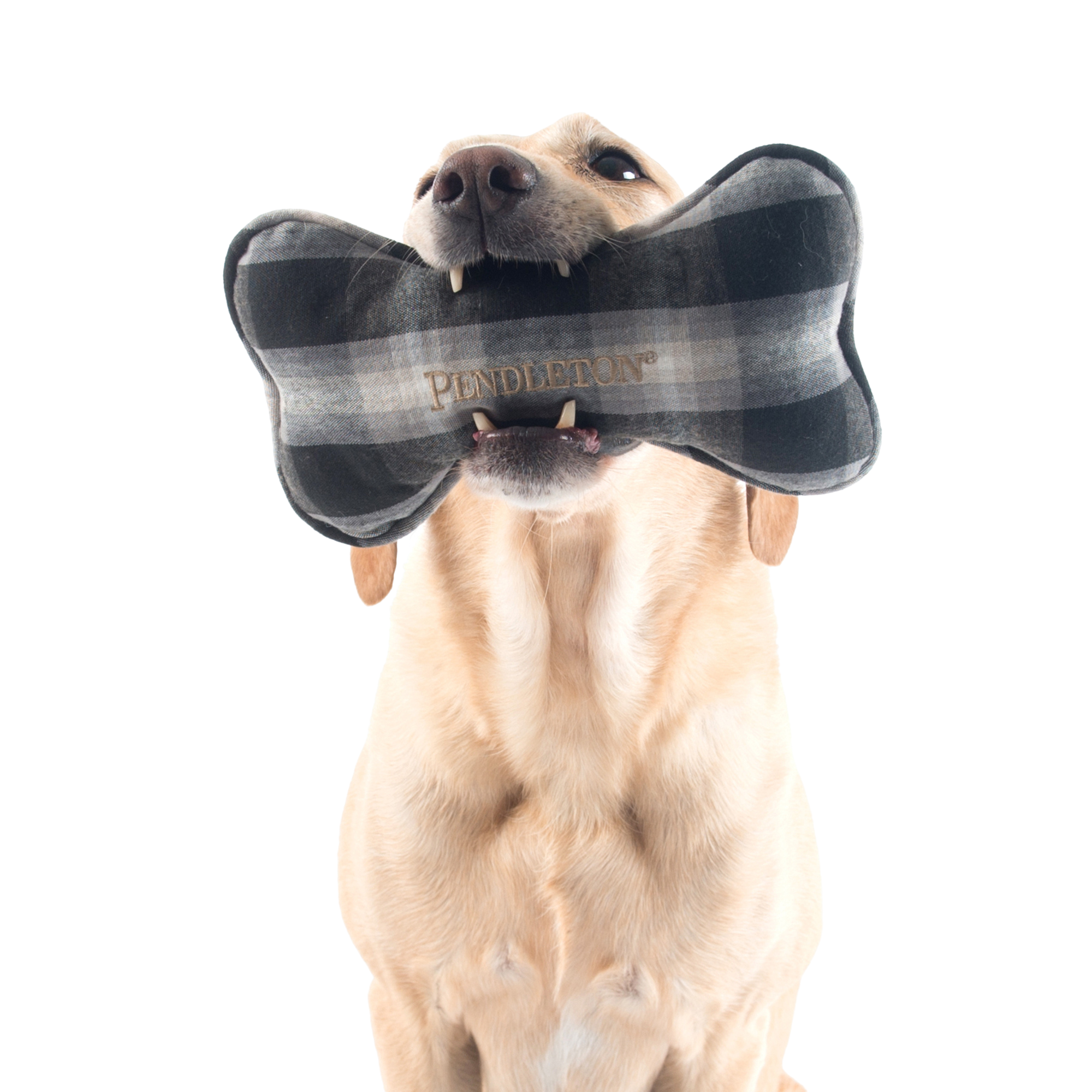 PENDLETON-BONE-DOG-TOY-CHARCOAL-OMBRE-PLAID