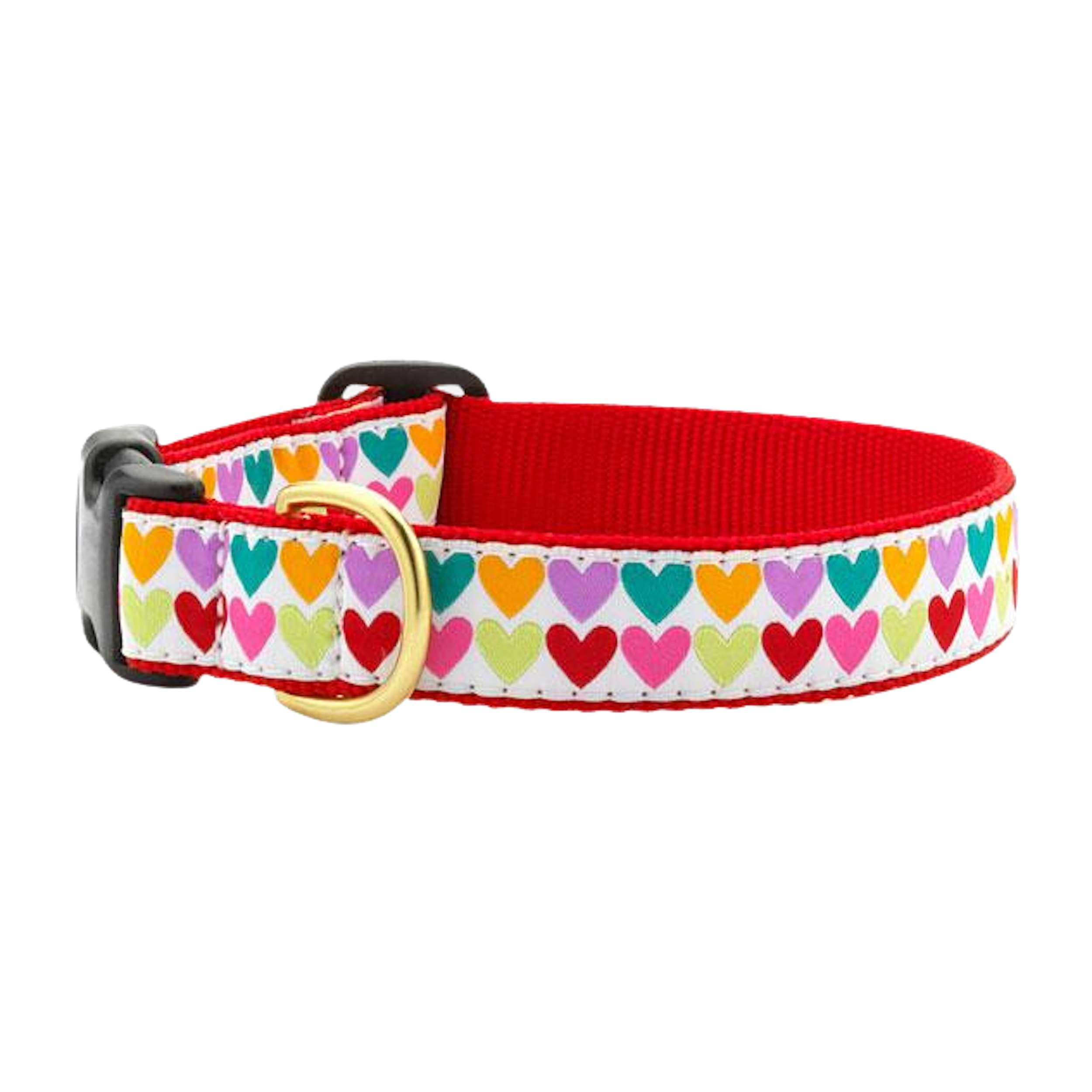 Sea Turtle's Dog Collar Green and Pink Dog Collar in A 